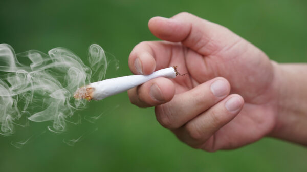 portada evict sobre el nudo cannabis tabaco 2a edicion