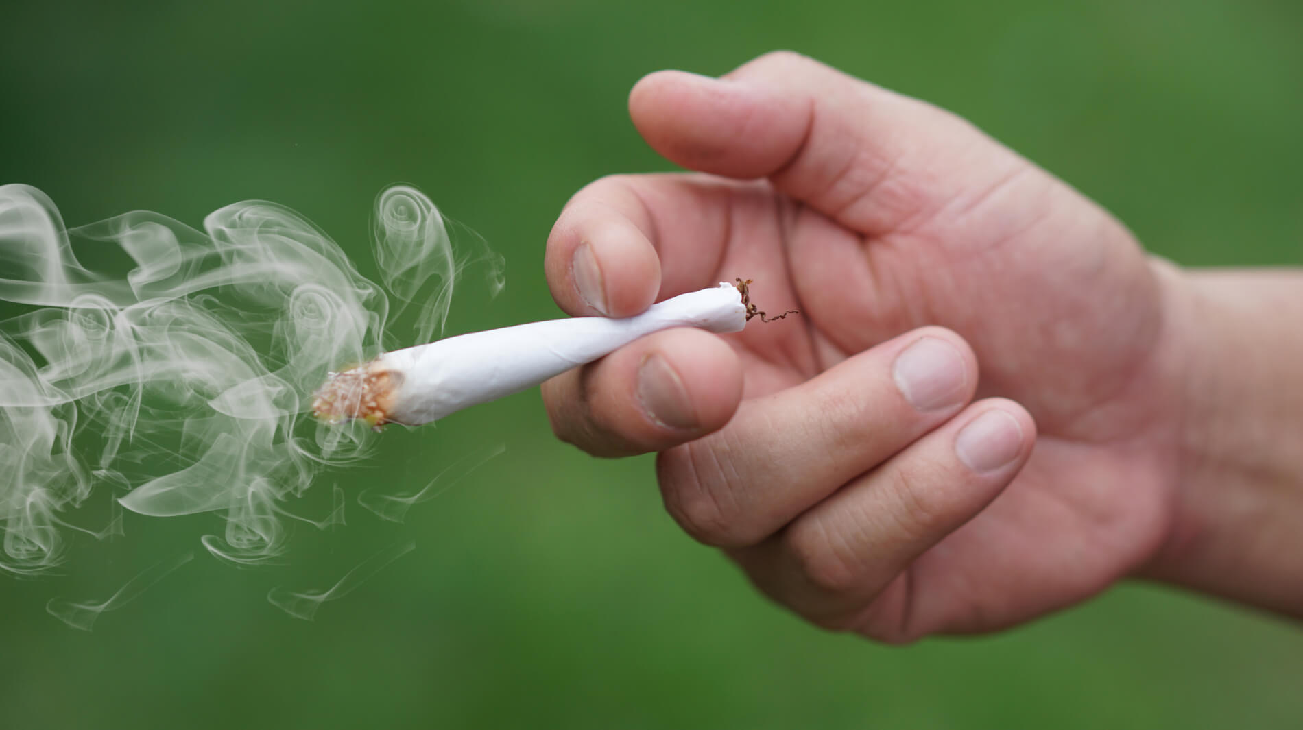 portada evict sobre el nudo cannabis tabaco 2a edicion